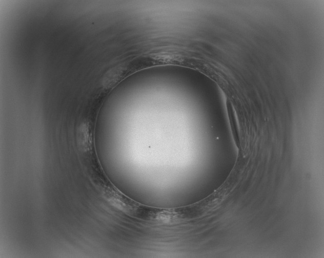 X0000073950420200609051758