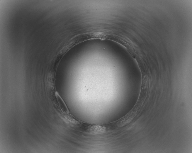 X0000073950421200609051758