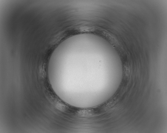 X0000073950422200609051758