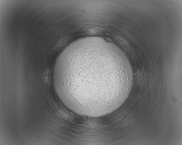 X0000073950423200609051758