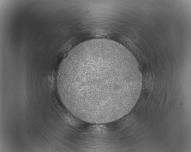 X0000073950427200609051757