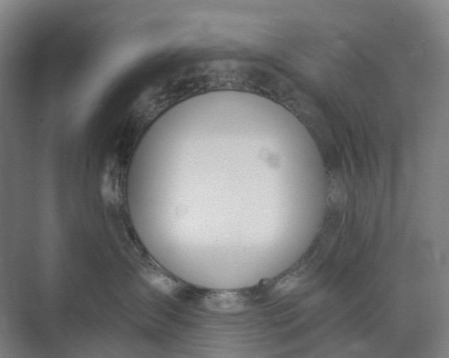 X0000073950431200609051757