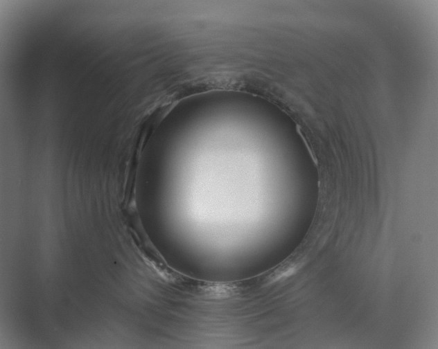 X0000073950432200609051757