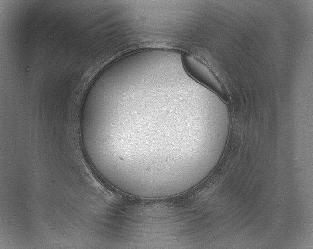 X0000073950433200609051757