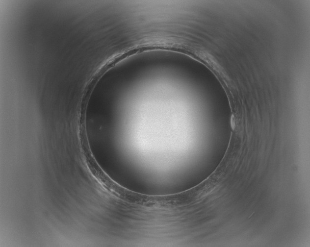 X0000073950434200609051757