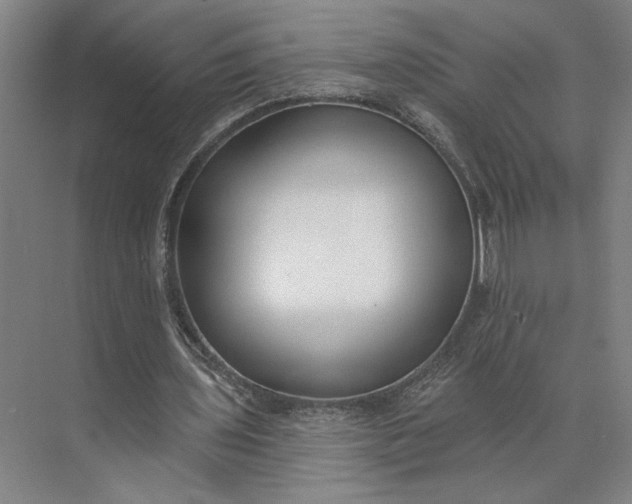 X0000073950435200609051757