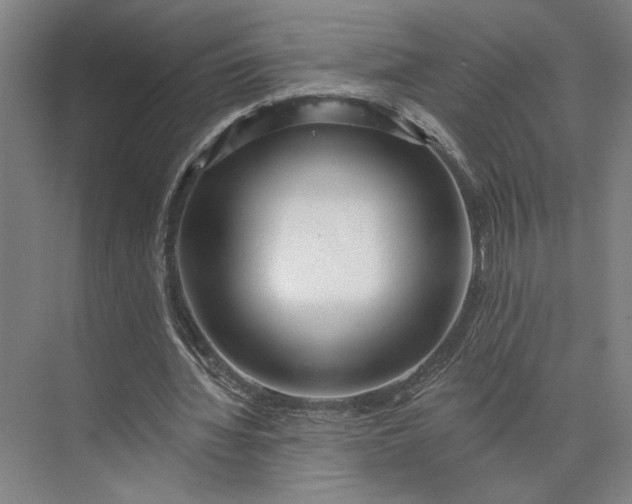 X0000073950436200609051757