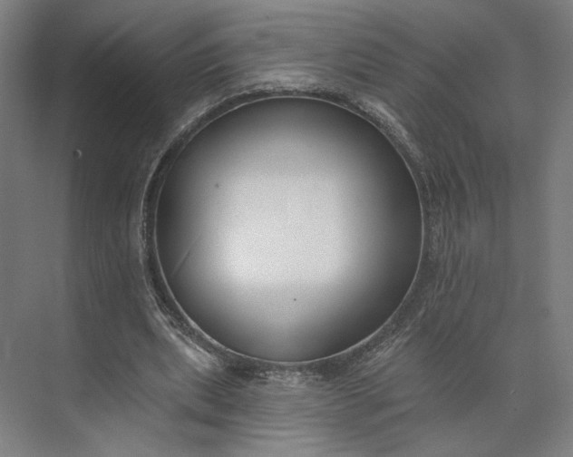 X0000073950439200609051757