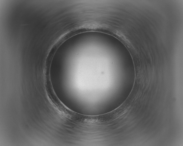 X0000073950440200609051757