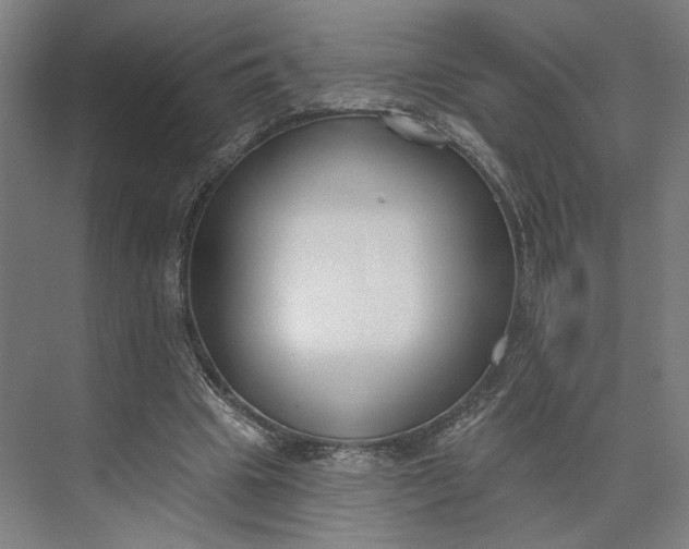 X0000073950441200609051757