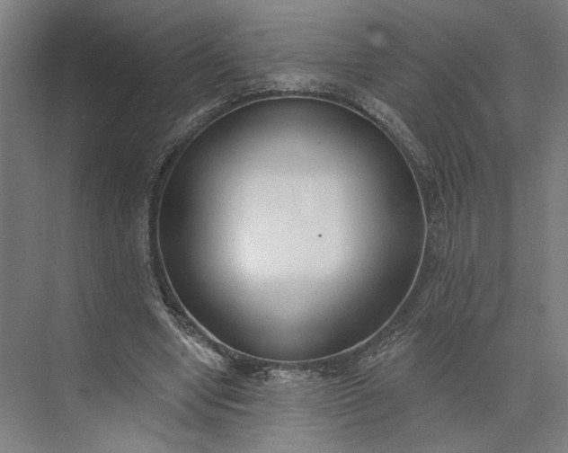 X0000073950442200609051757