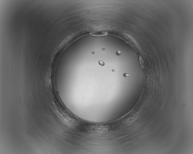 X0000073950443200609051757