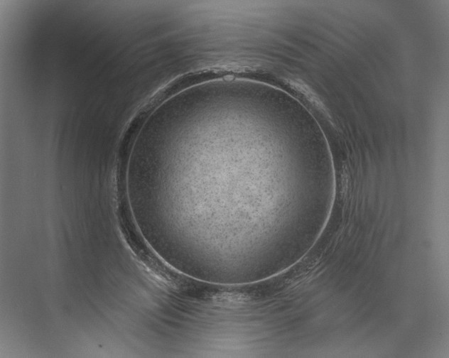 X0000073950444200609051757