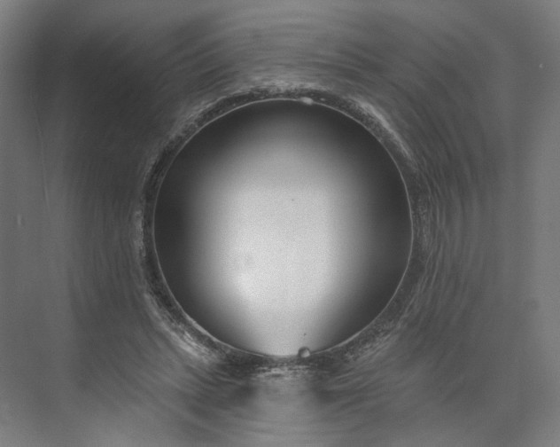 X0000073950447200609051757