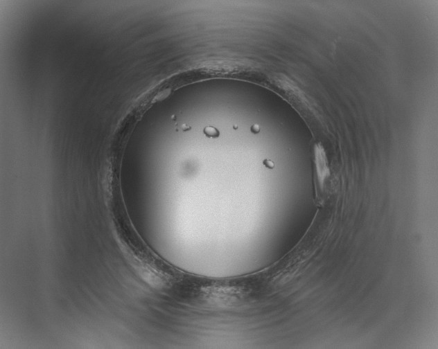 X0000073950448200609051757