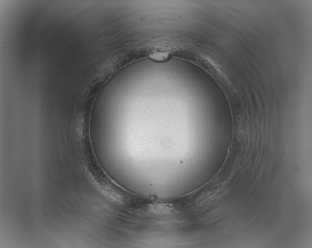 X0000073950451200609051757