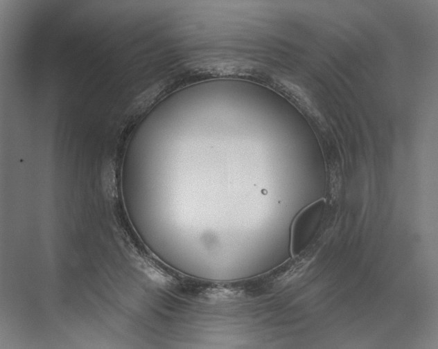 X0000073950453200609051757