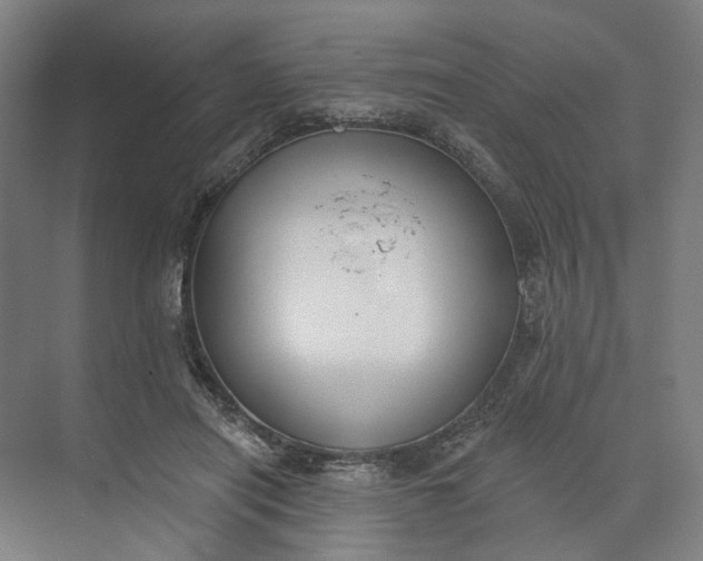 X0000073950454200609051757