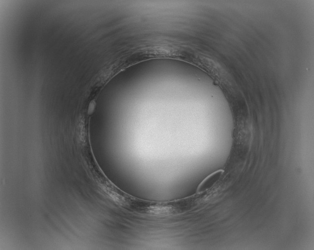 X0000073950457200609051757