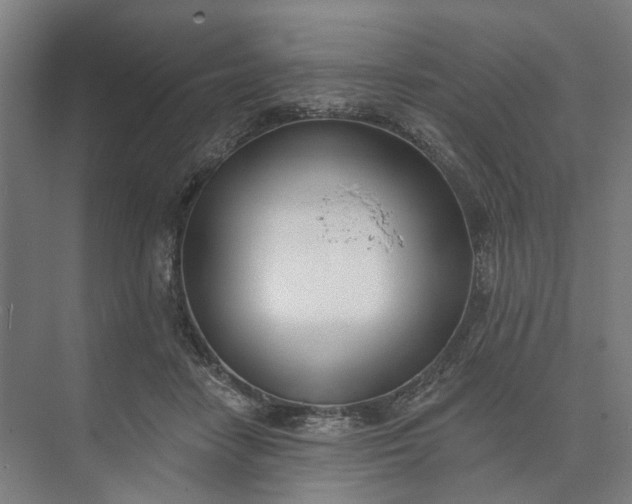 X0000073950458200609051757