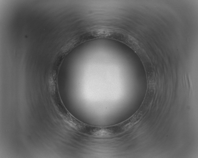 X0000073950460200609051757