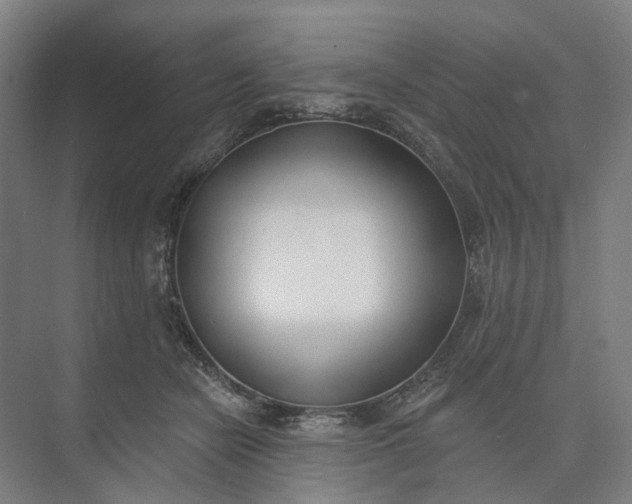 X0000073950462200609051757