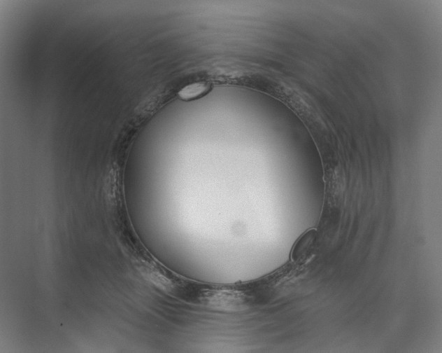 X0000073950463200609051757