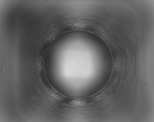 X0000073950464200609051757