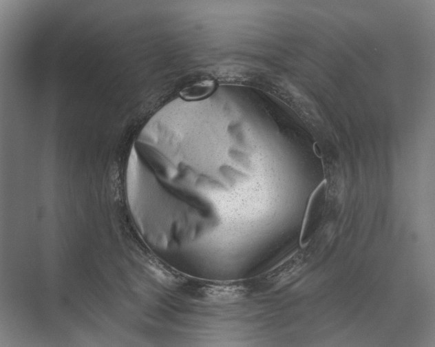 X0000073950465200609051757