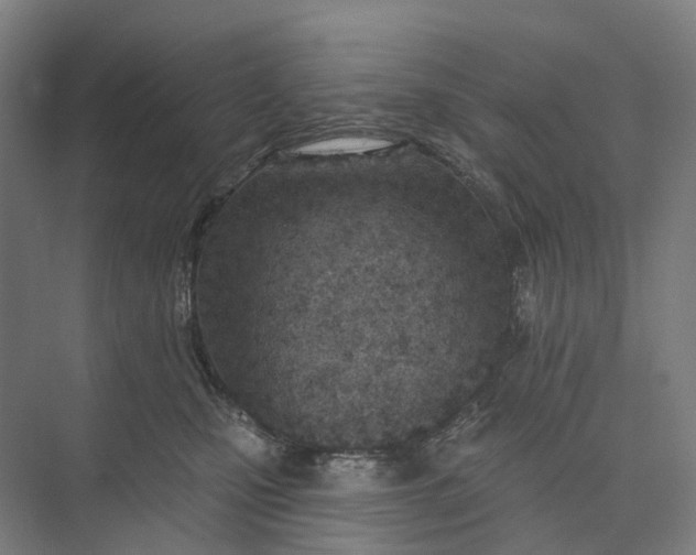 X0000073950471200609051757