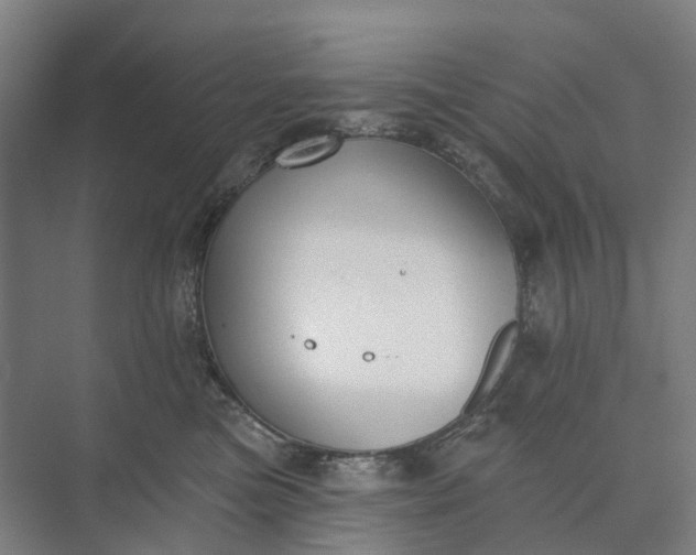 X0000073950473200609051757