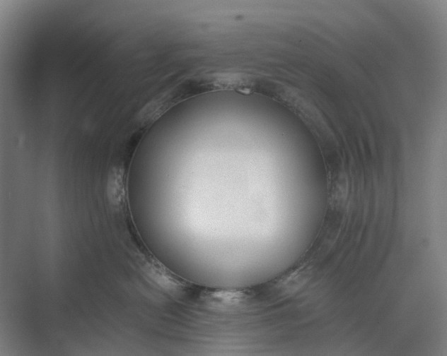 X0000073950478200609051757