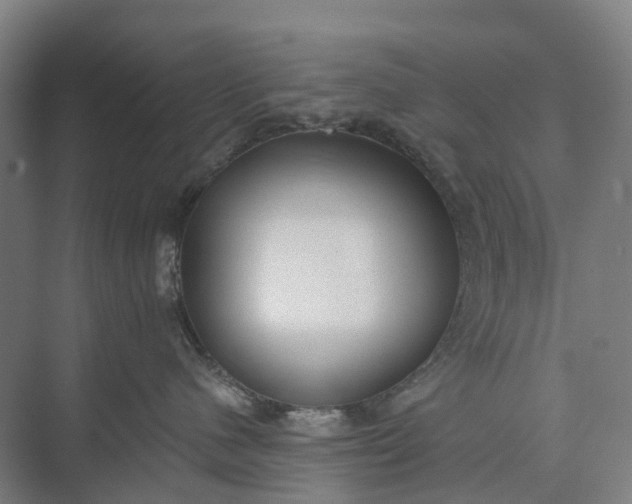 X0000073950480200609051757