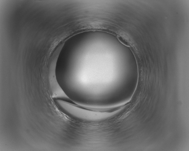 X0000073950481200609051757