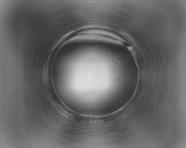 X0000073950484200609051757