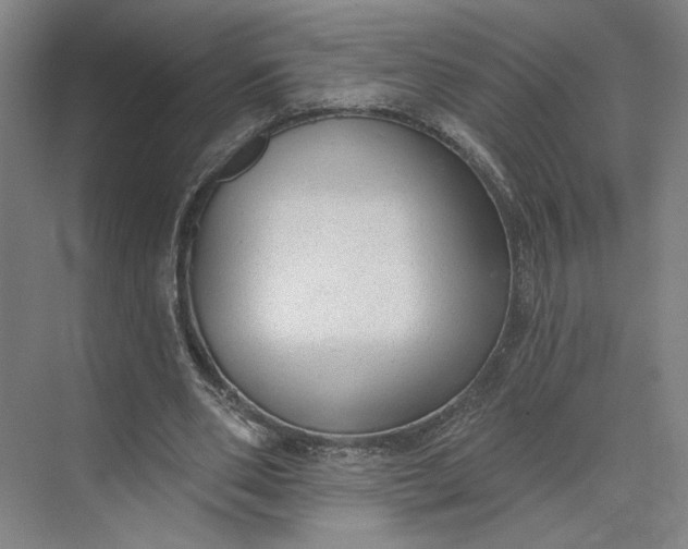 X0000073950486200609051756