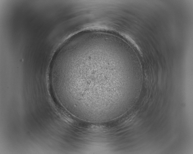 X0000073950487200609051756