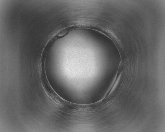 X0000073950488200609051756