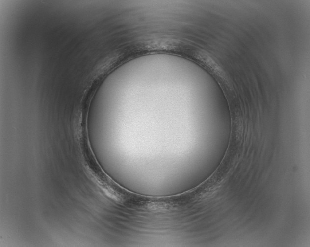 X0000073950490200609051756