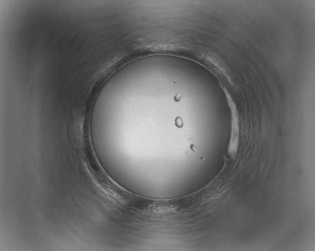 X0000073950491200609051756