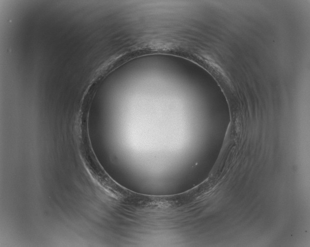 X0000073950492200609051756