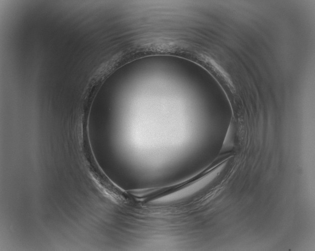 X0000073950493200609051756