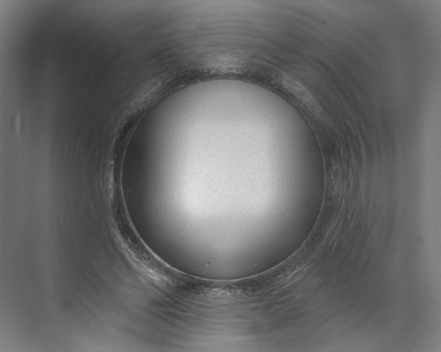 X0000073950494200609051756