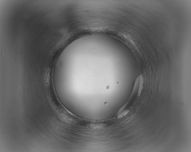 X0000073950495200609051756