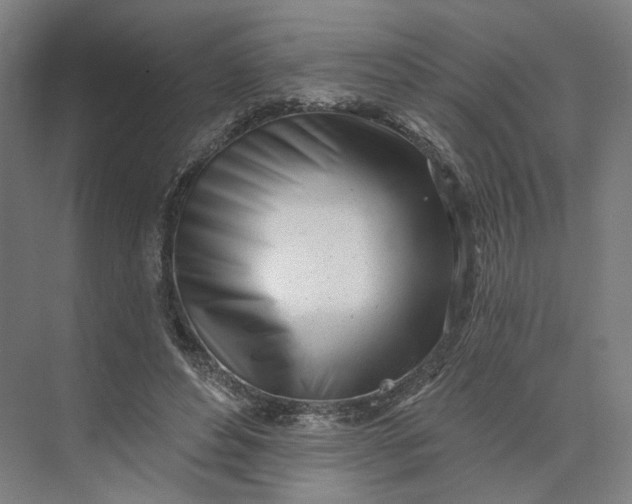 X0000073950496200609051756