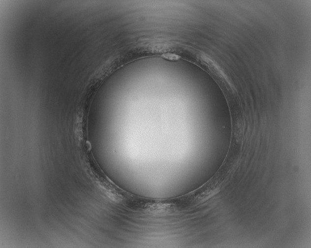 X0000073950497200609051756