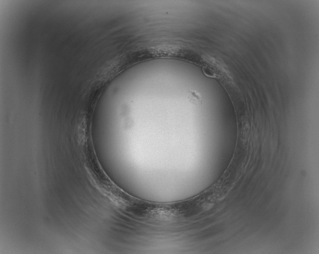 X0000073950498200609051756