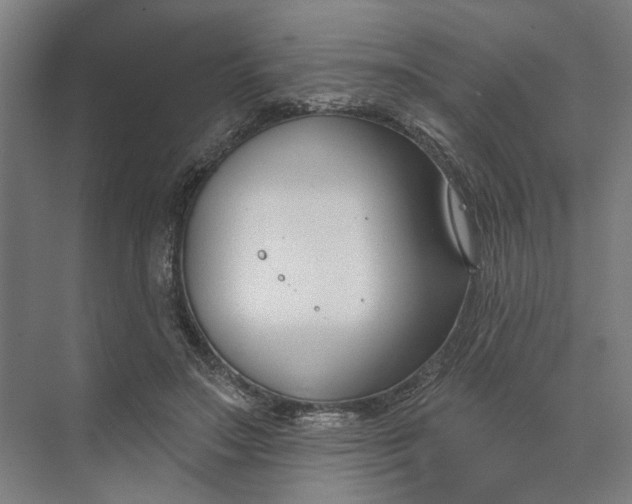 X0000073950499200609051756