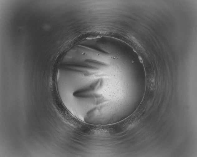 X0000073950500200609051756