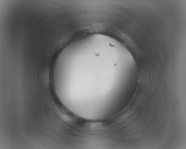 X0000073950501200609051756